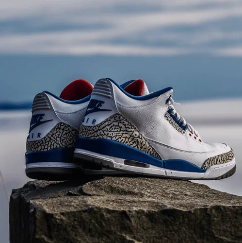 Jordan 3 with nike check online