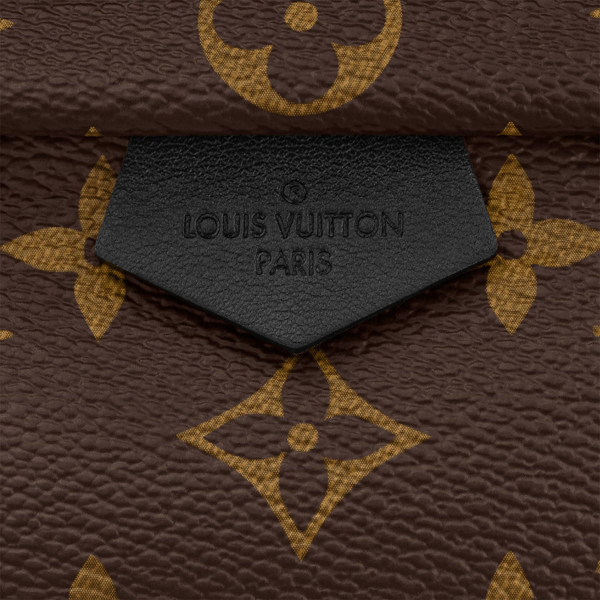 Louis Vuitton Palm Springs Mini Monogram